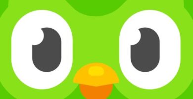 Duolingo Plus (Mod)